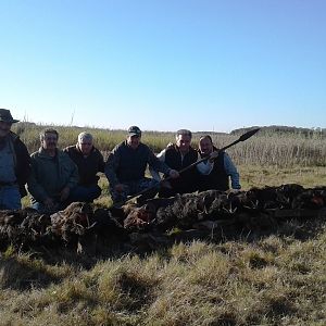 Spear Hunting Wild Boar in Argentina