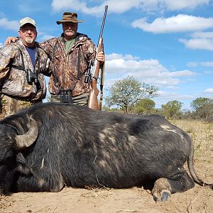 Hunt Water Buffalo in Argentina