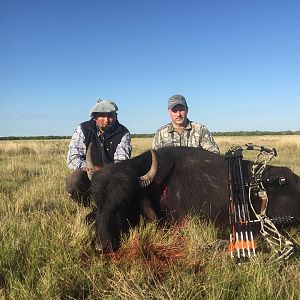 Water Buffalo Hunting Argentina