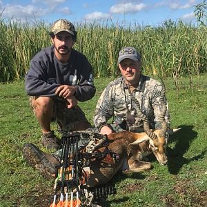 Blackbuck Bow Hunt Argentina