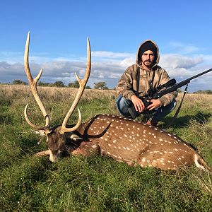 Axis Deer Hunting Argentina