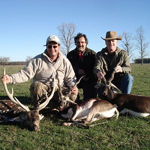 Hunt Blackbuck in Argentina