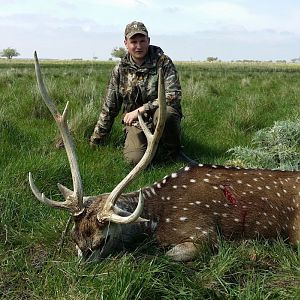 Argentina Hunting Axis Deer