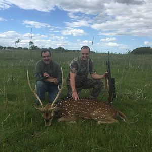 Axis Deer Hunt Argentina