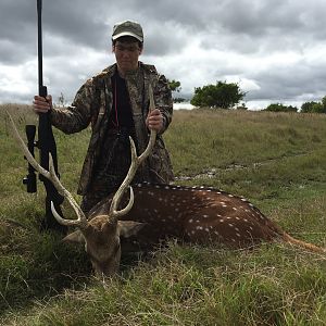 Axis Deer Hunting Argentina