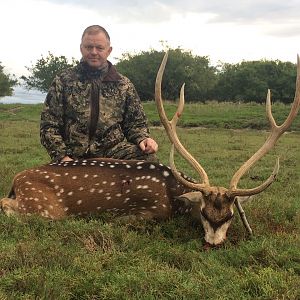 Argentina Hunting Axis Deer