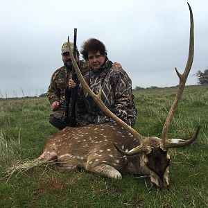 Axis Deer Hunt Argentina