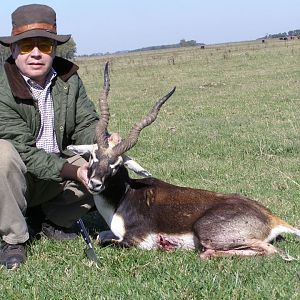 Blackbuck Hunting Argentina