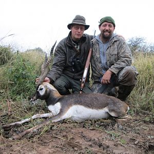 Blackbuck Hunt Argentina