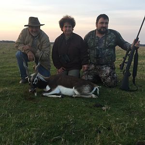 Hunt Blackbuck in Argentina