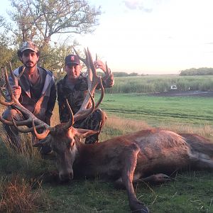 Hunting Red Stag in Argentina