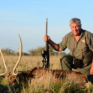 Argentina Hunting Axis Deer