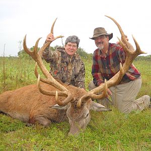 Argentina Hunt Red Stag