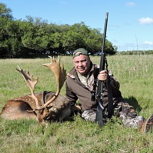 Fallow Deer Hunt Argentina