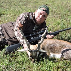 Argentina Hunting Blackbuck