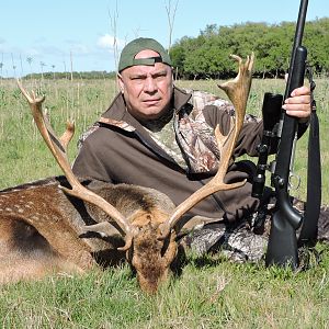 Hunting Fallow Deer in Argentina