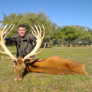 Red Stag Hunting Argentina