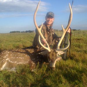 Argentina Hunt Axis Deer