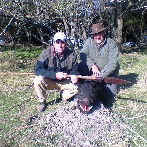 Wild Boar Hunting Argentina