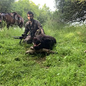 Wild Boar Hunt Argentina