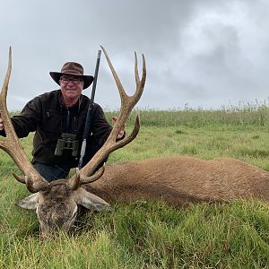 Argentina Hunt Red Stag