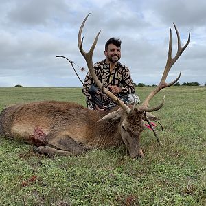 Red Stag Hunt Argentina