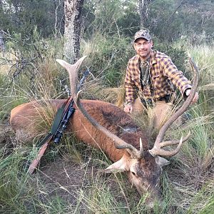 Argentina Hunting Red Stag