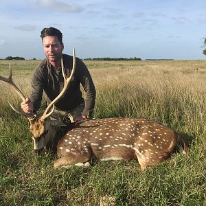 Axis Deer Hunting Argentina