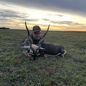 Argentina Hunting Blackbuck