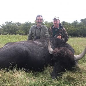 Argentina Hunt Water Buffalo