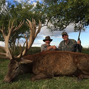 Red Stag Hunting Argentina