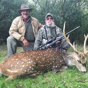 Axis Deer Hunting Argentina