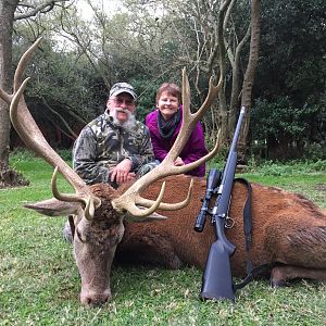 Red Stag Hunt Argentina