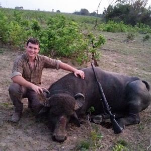 Hunt Water Buffalo in Argentina