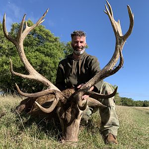 Red Stag Hunt Argentina