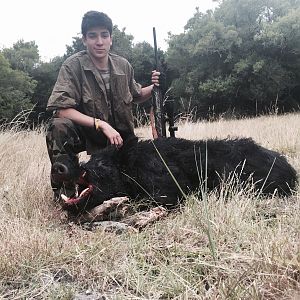 Wild Boar Hunting Argentina