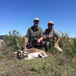 Argentina Hunting Blackbuck