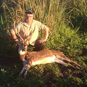 Axis Deer Hunt Argentina