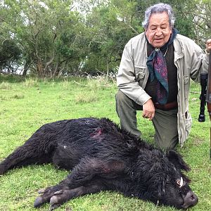 Wild Boar Hunt Argentina