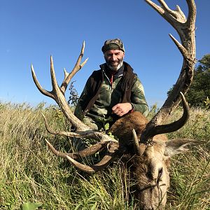 Argentina Hunt Red Stag