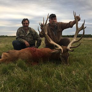 Argentina Hunting Red Stag