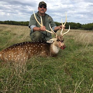 Hunting Axis Deer in Argentina