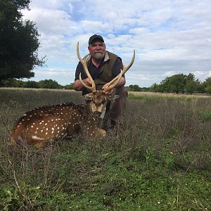 Argentina Hunt Axis Deer