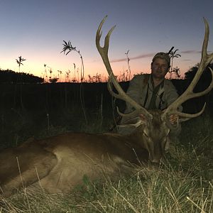 Argentina Hunting Red Stag