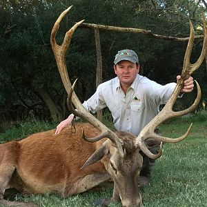 Red Stag Hunt Argentina