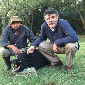 Hunting Wild Boar in Argentina