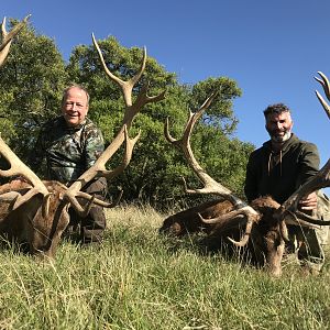 Red Stag Hunting Argentina