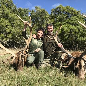 Hunt Red Stag in Argentina