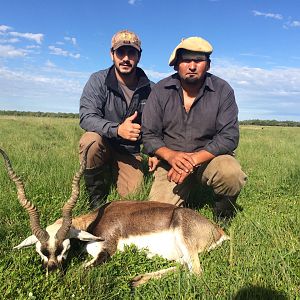 Hunt Blackbuck in Argentina