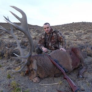 Argentina Hunt Red Stag